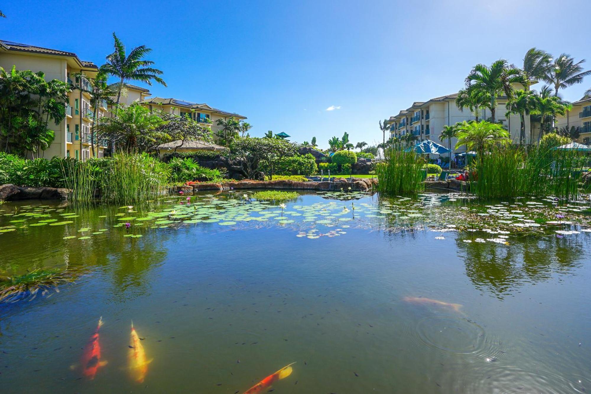 Waipouli Beach Resort Kapa'a Δωμάτιο φωτογραφία